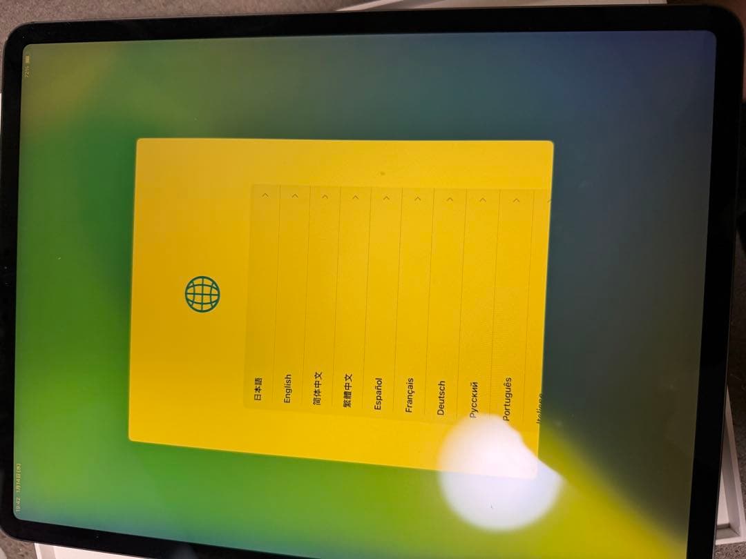 iPad Pro 12.9インチ Wi-Fi + Cellular 64GB