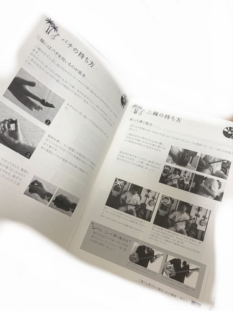 三線本体 人工蛇革　ソフトケース付き　スタンド付き　沖縄　琉球