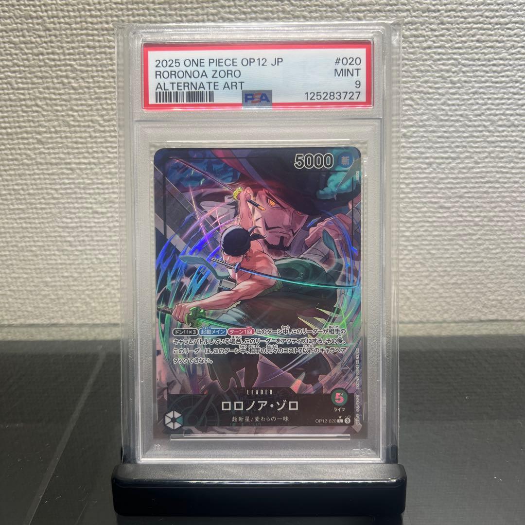 師弟の絆　リーダーパラレル　ロロノア・ゾロ