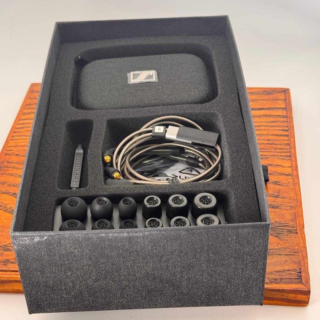 Sennheiser IE900 ゼンハイザー【付属品完備】