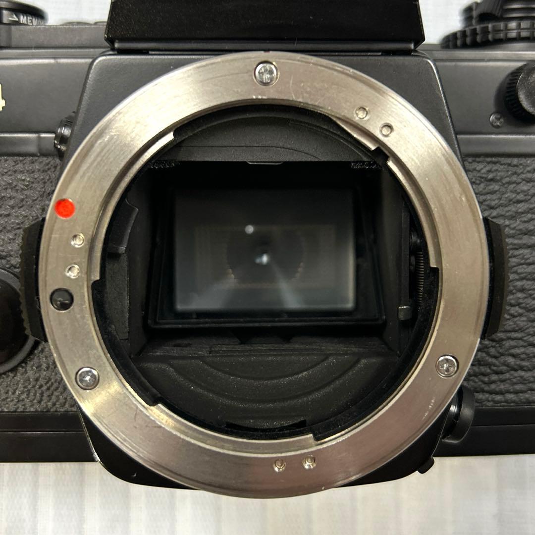 OLYMPUS OM-4＋ZUIKO AUTO-S 50mm f:1.8