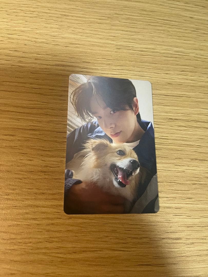 ENHYPEN アンケート 2025 限定トレカ JAKE ジェイク