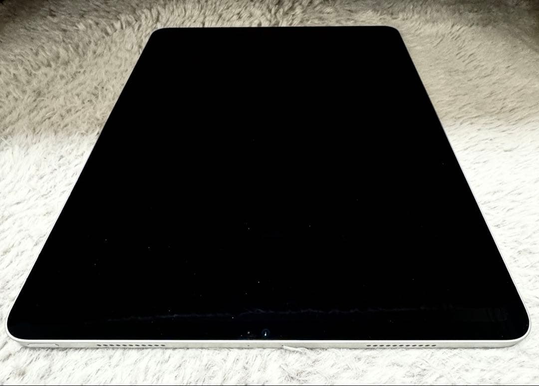 Apple iPad 12.9インチ 512GB (第5世代)