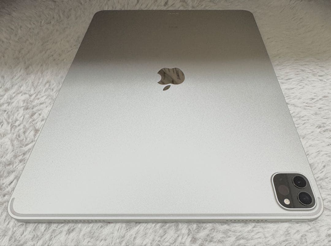 Apple iPad 12.9インチ 512GB (第5世代)