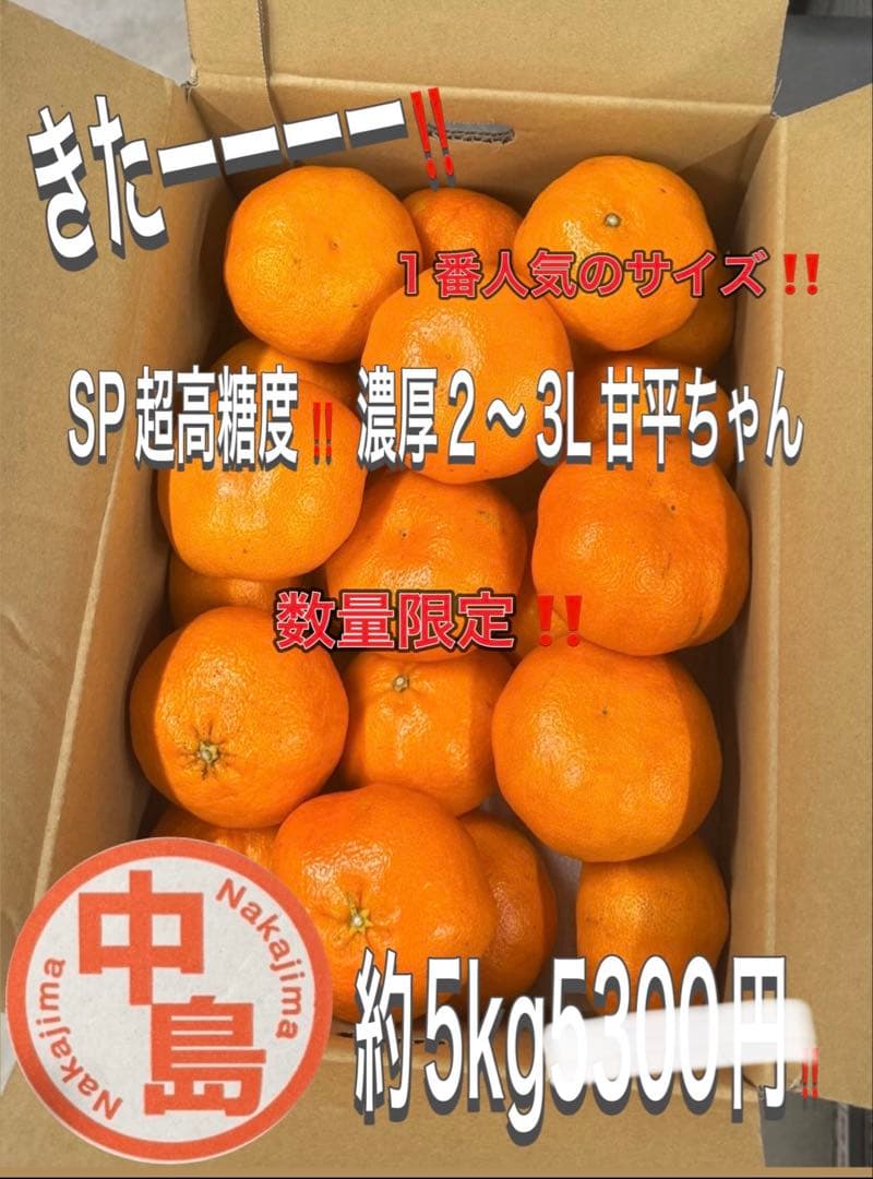 あっきんさん専用2箱