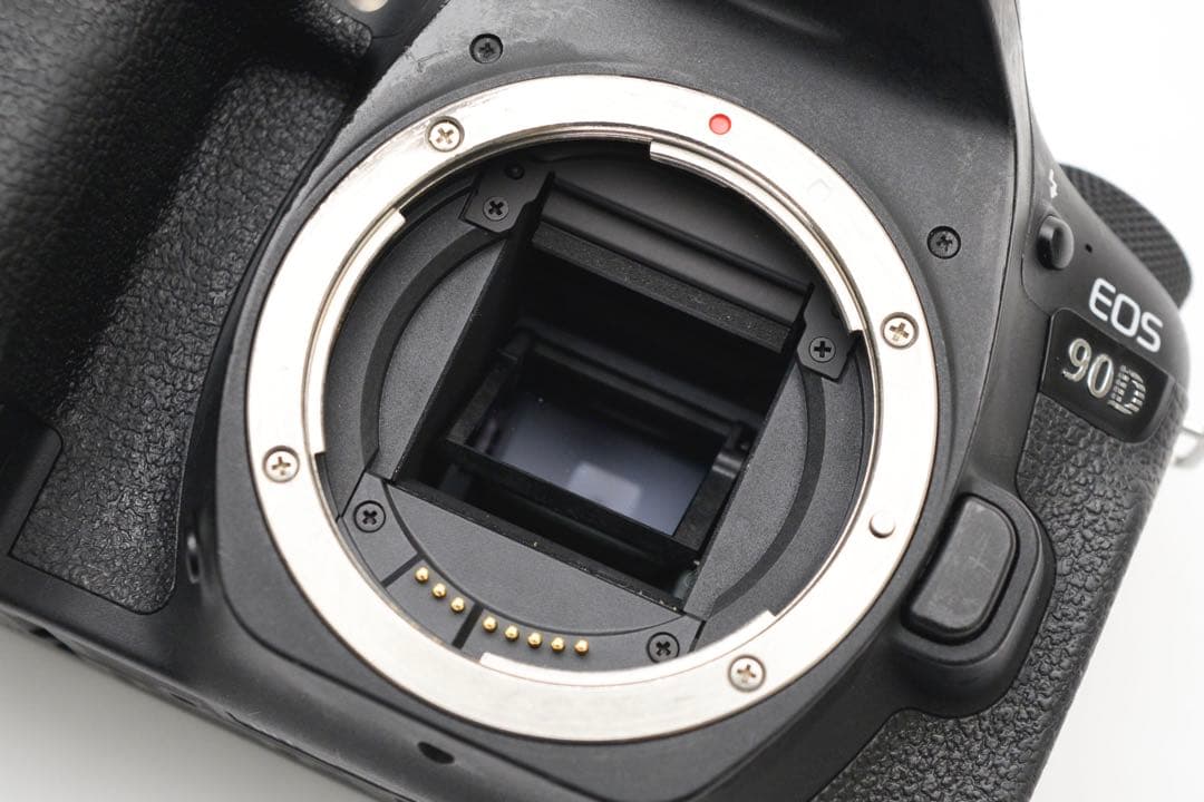 デジタルカメラ Canon EOS 90D/EF 24-105mm F4L IS USM