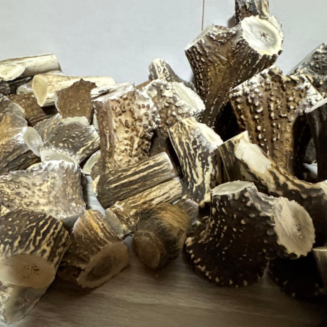 鹿の角　端材Ａ　ハンドメイド用