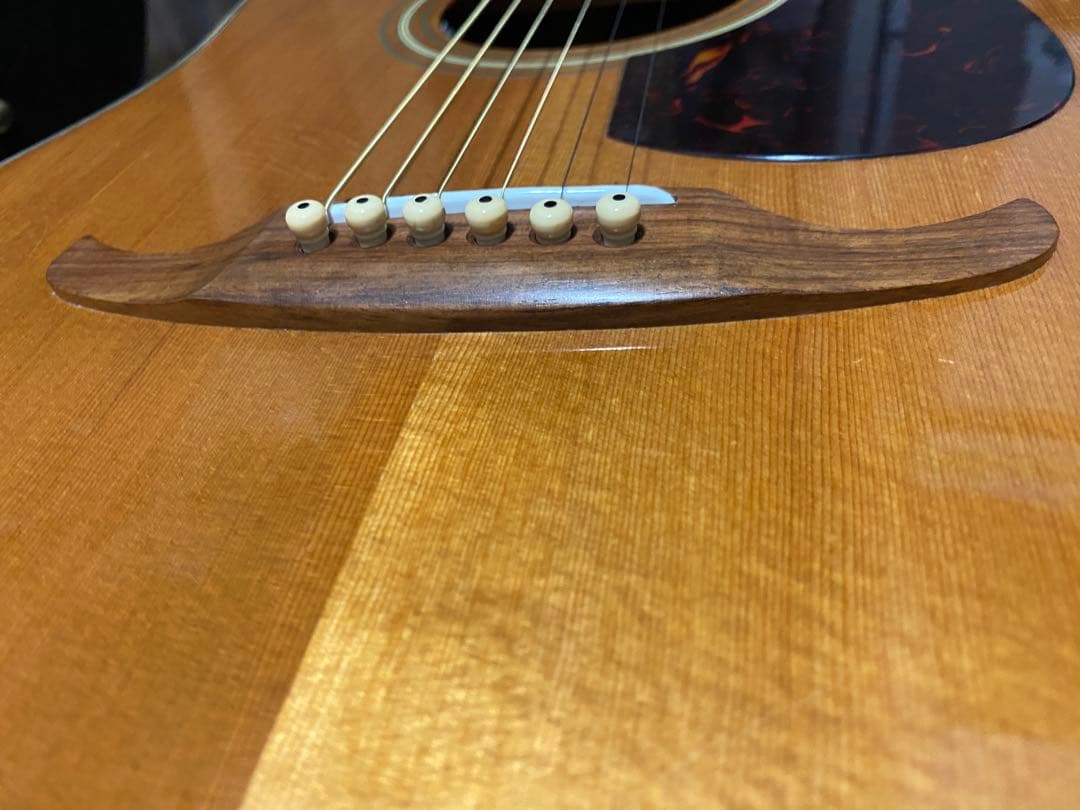 アコースティックギター　fender