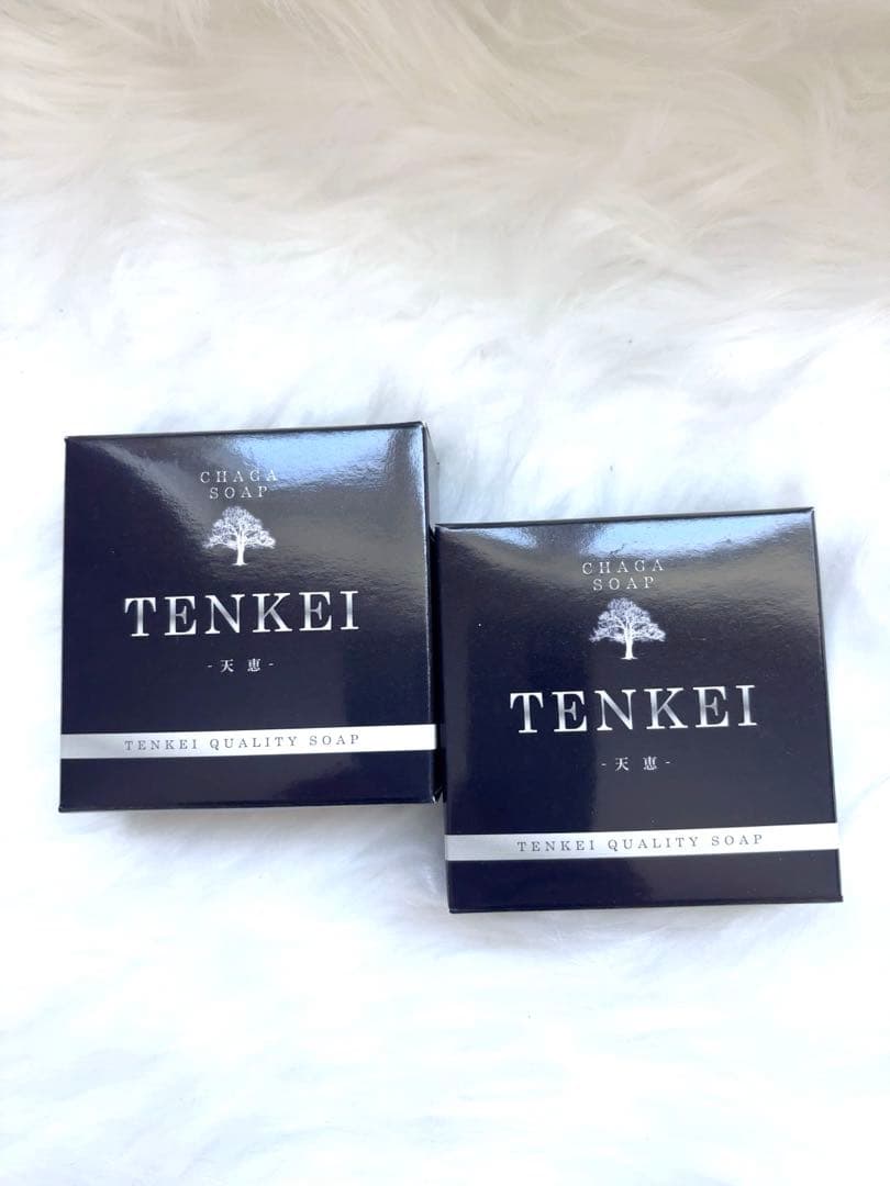 TENKEI 天恵石鹸　5個セット