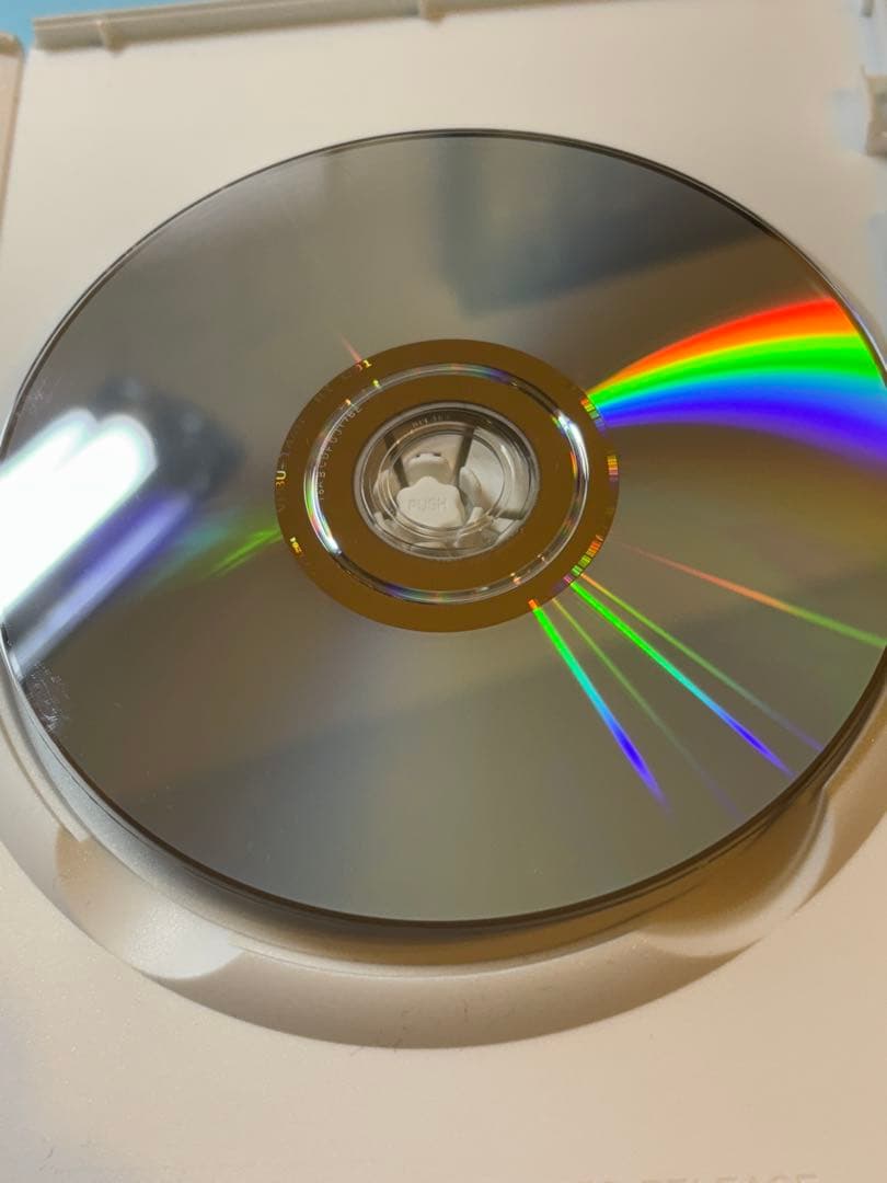 ヴィヴィアン・マイヤーを探して