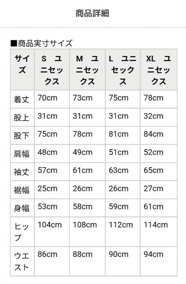 ゴアテックス スキーウェア上下セット メンズ レディース