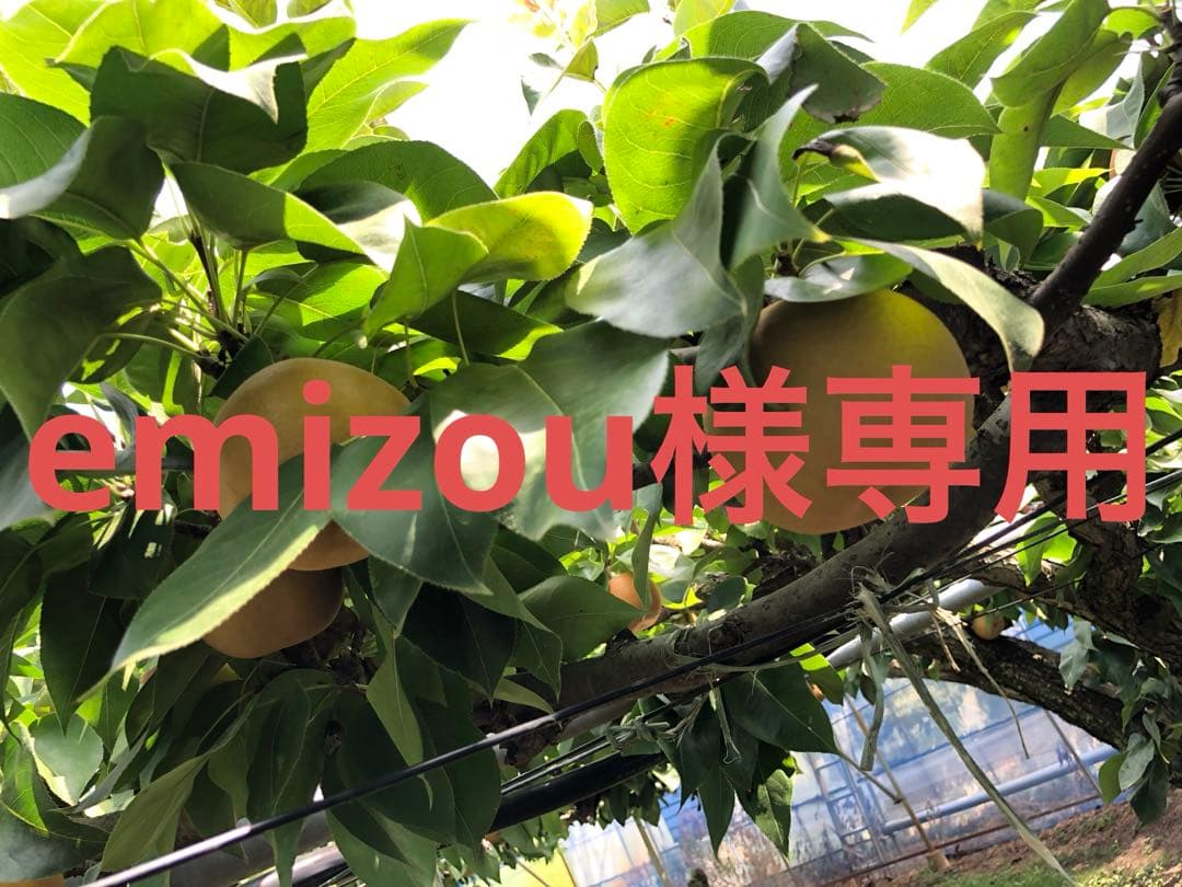 果物 emizou