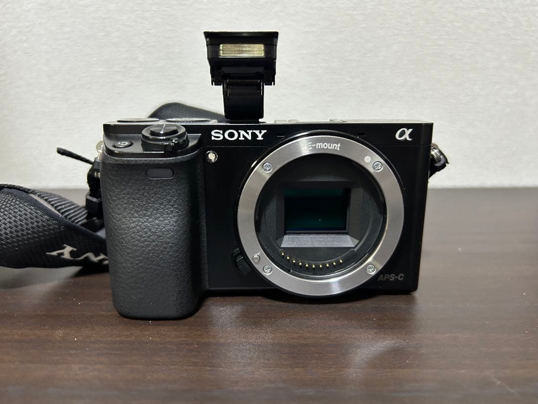SONY α6000 ミラーレス一眼レフ 本体とレンズセット