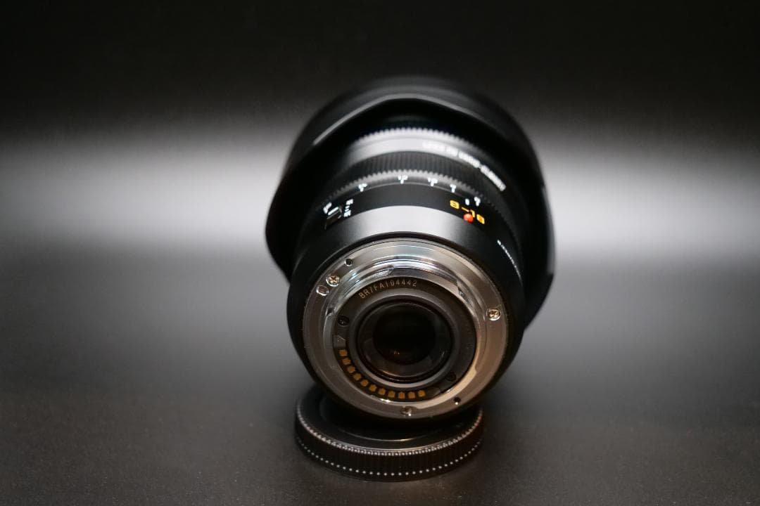 LEICA DG VARIO-ELMARIT 8-18mm m4/3 広角ズーム