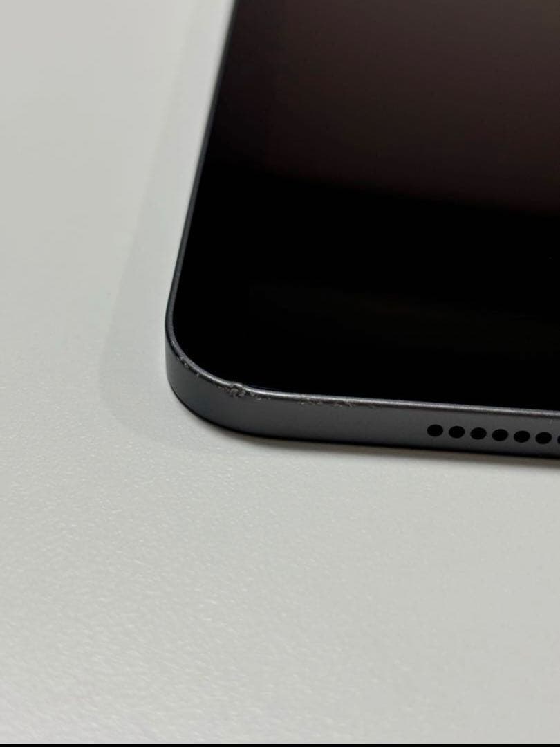 iPad Pro 11インチ 第2世代 +おまけ