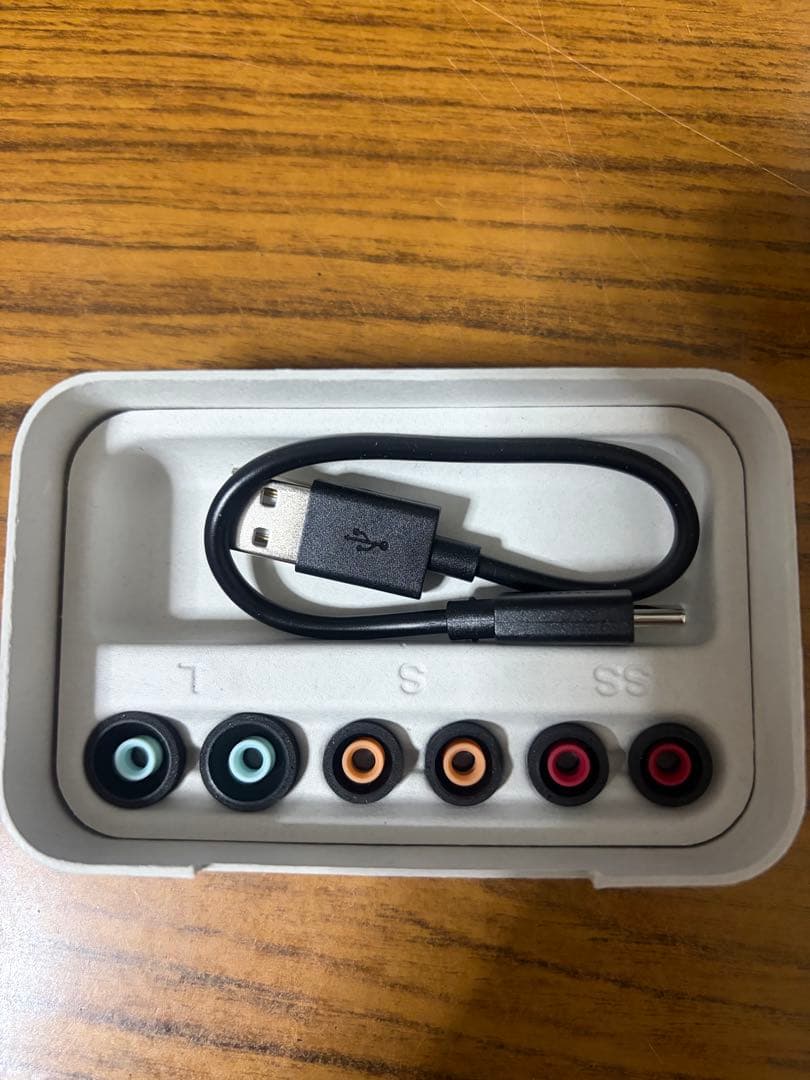 G*I様 ほぼ新品　ケース付き　SONY WF-1000XM5 ワイヤレスイヤホ