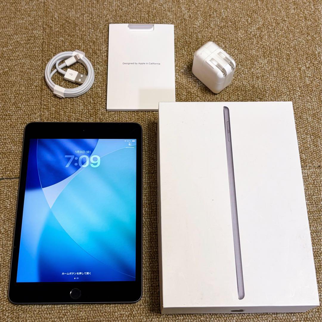 iPad mini 第5世代 64GB バッテリー95%