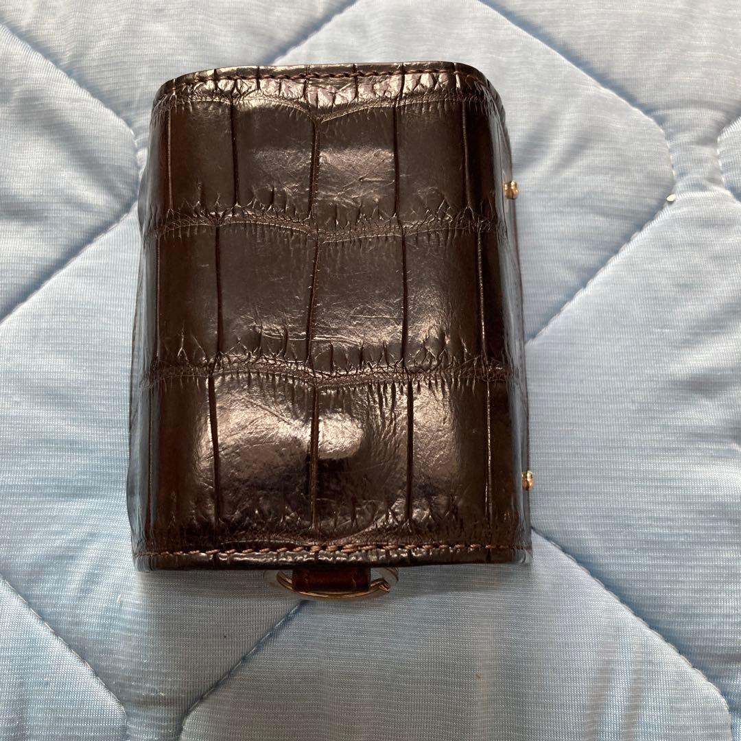 ワイルドスワンズ　クリッパー2 クロコダイル　チョコ