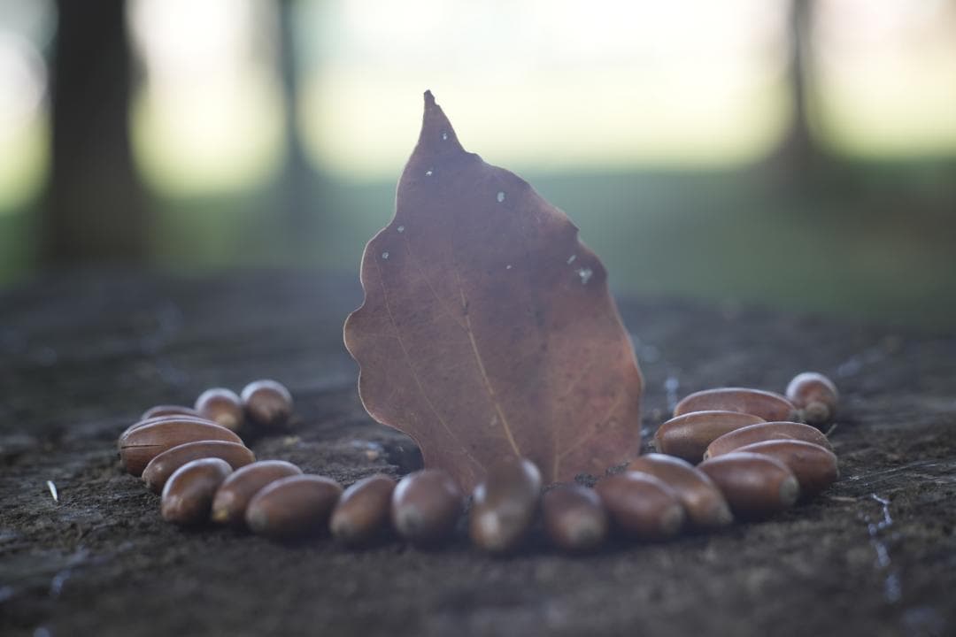 KMZ PO-2-2M 75mm f2 ライカMマウント改 オールドシネレンズ