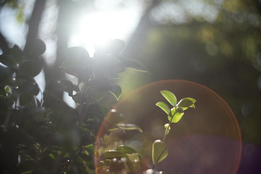 KMZ PO-2-2M 75mm f2 ライカMマウント改 オールドシネレンズ