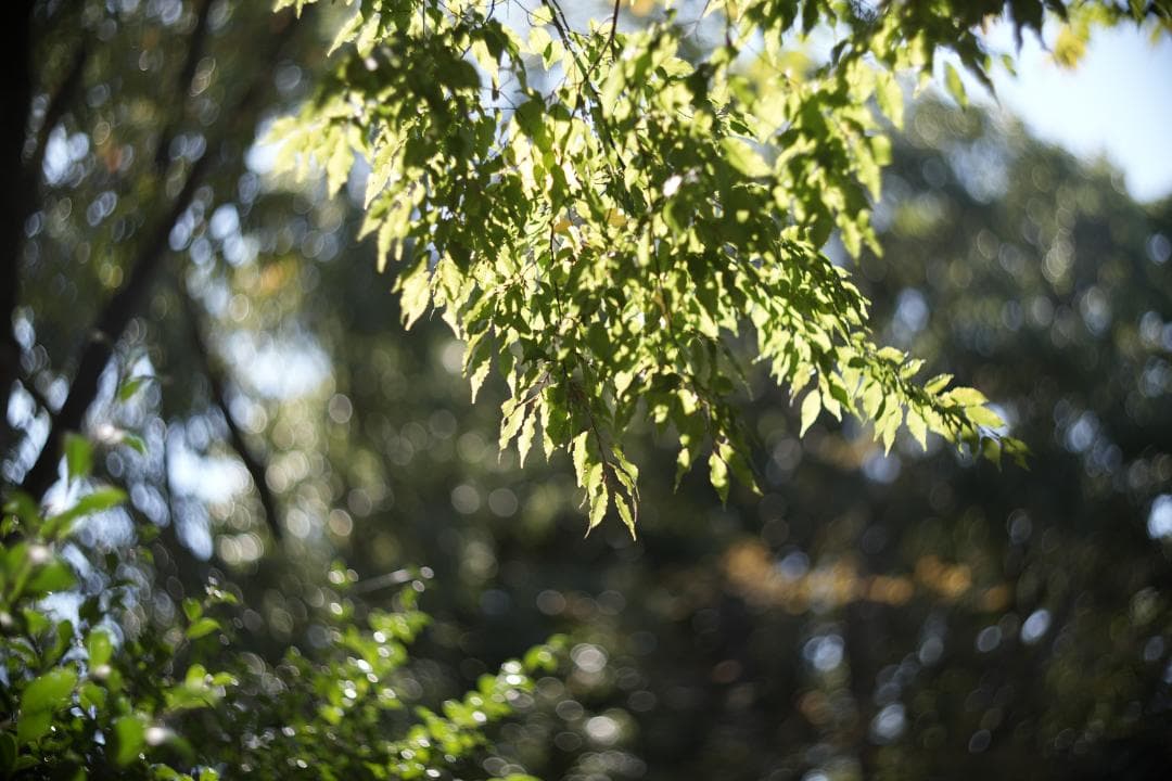 KMZ PO-2-2M 75mm f2 ライカMマウント改 オールドシネレンズ