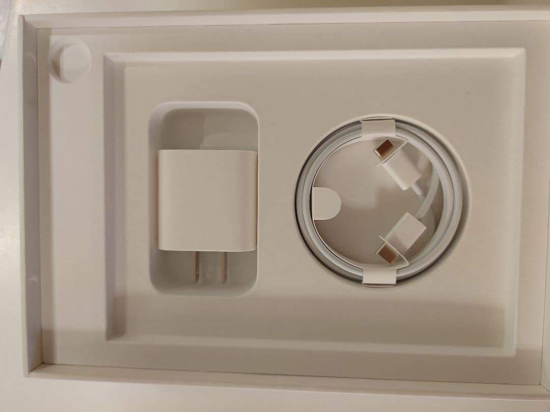 Apple iPad mini (パープル) 本体