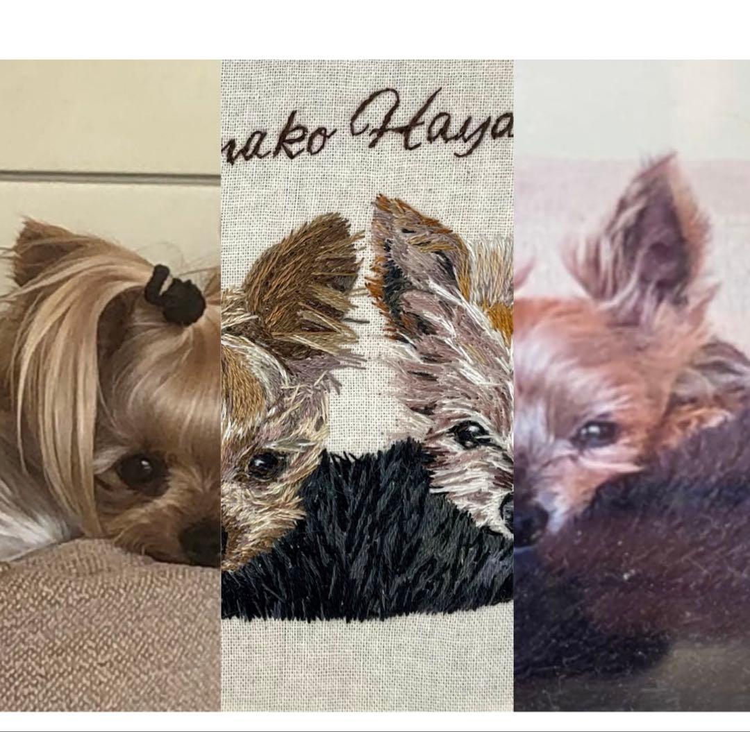 ちゃちゃ様 うちの子刺繍