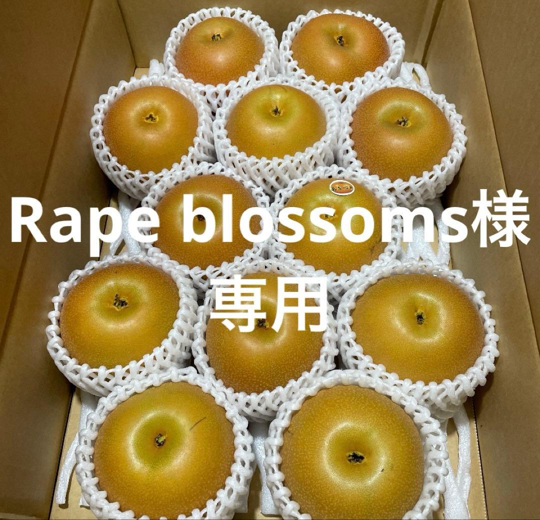 果物 Rape blossoms