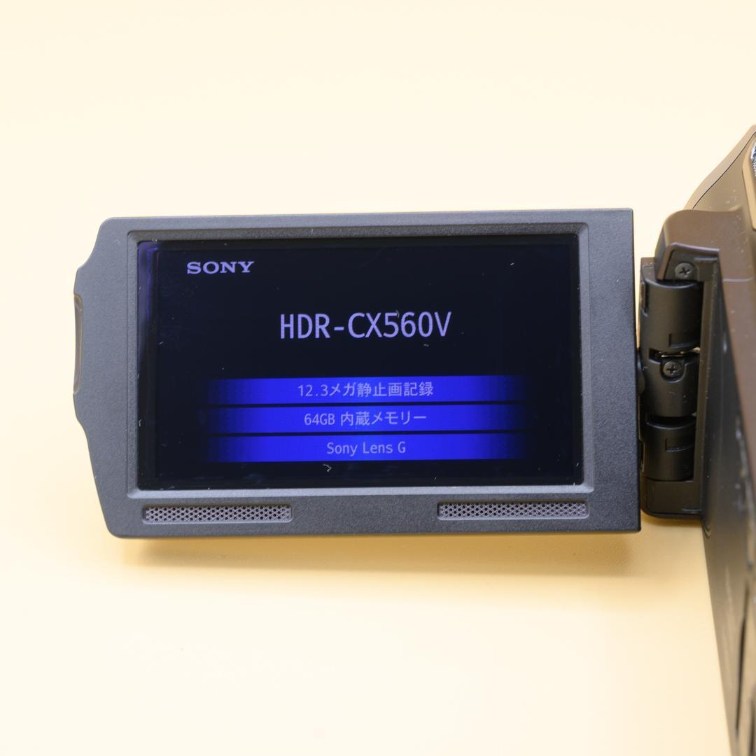 Sony HDR-CX560V　中古品