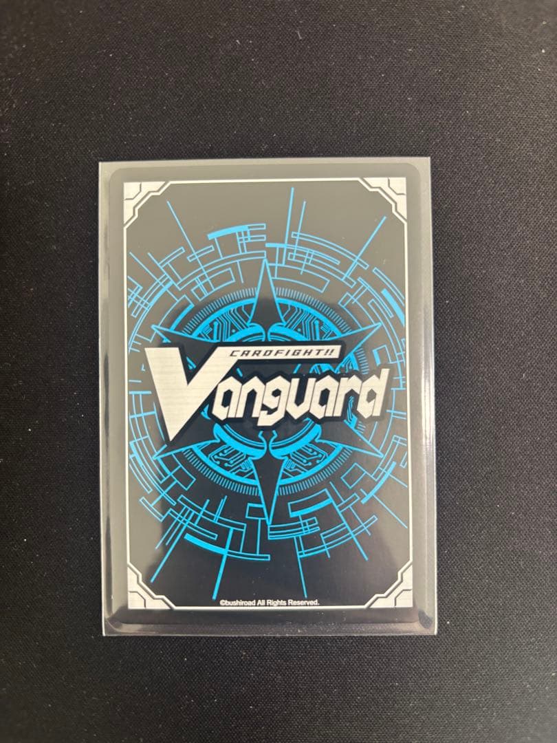 天輪鳳竜 ニルヴァーナ・ジーヴァ DSR