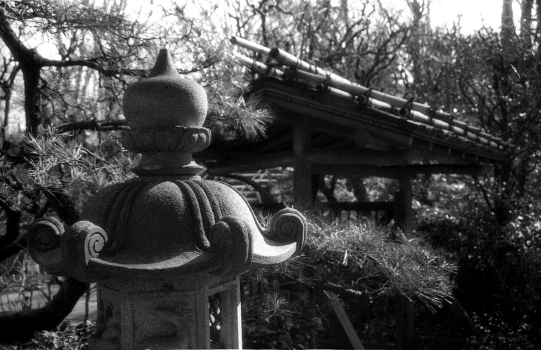 美品のAF一眼基本中の基本「キヤノンEOS10」（整備＆実写済み）