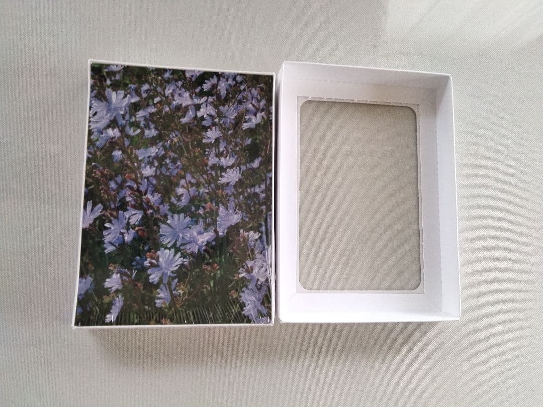 ㉓おまけ付ヒーリングハーブス社フラワーエッセンス40本フルセットとフラワーカード