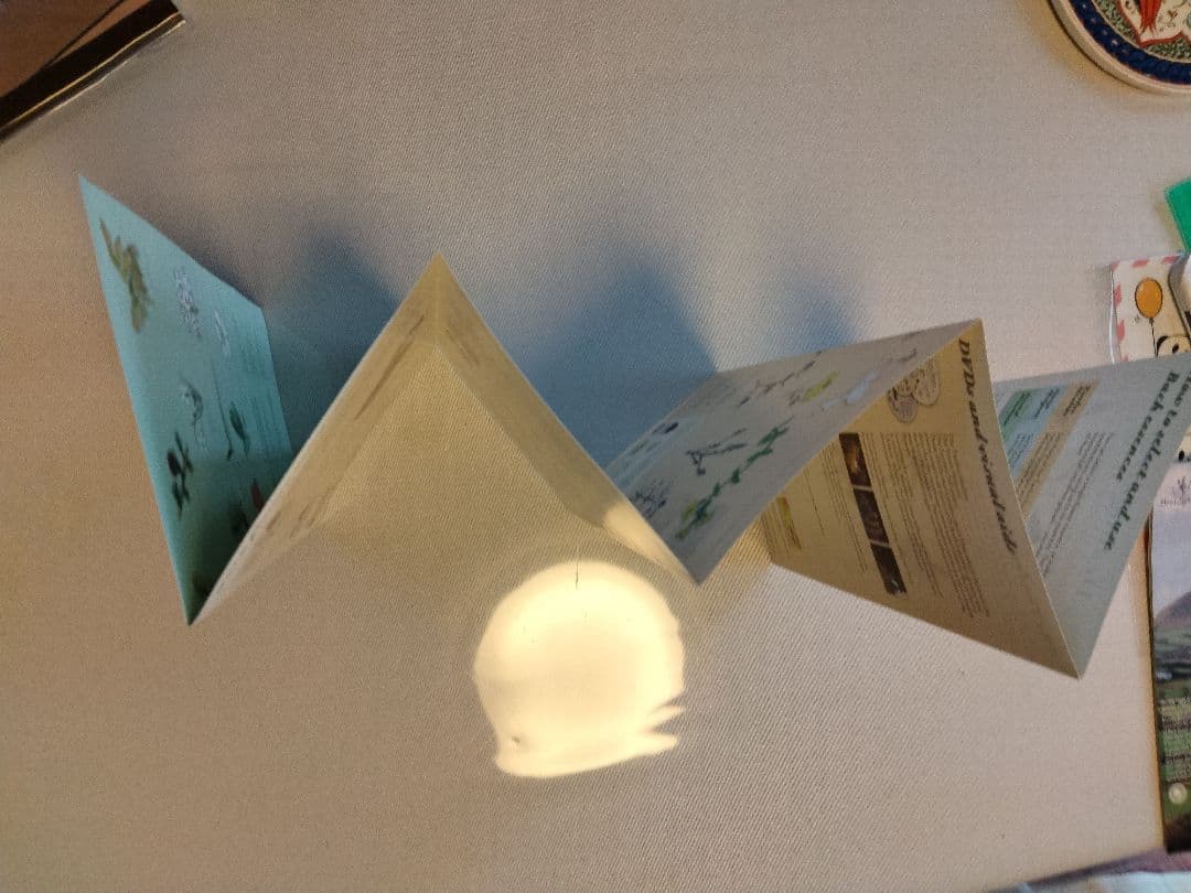 ㉓おまけ付ヒーリングハーブス社フラワーエッセンス40本フルセットとフラワーカード