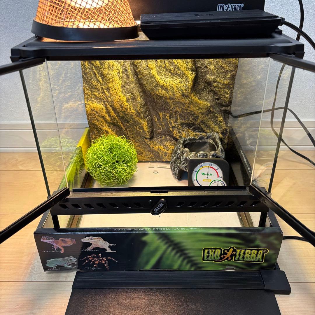 【プロフ必読】グラステラリウム3030とその他付随品のセット