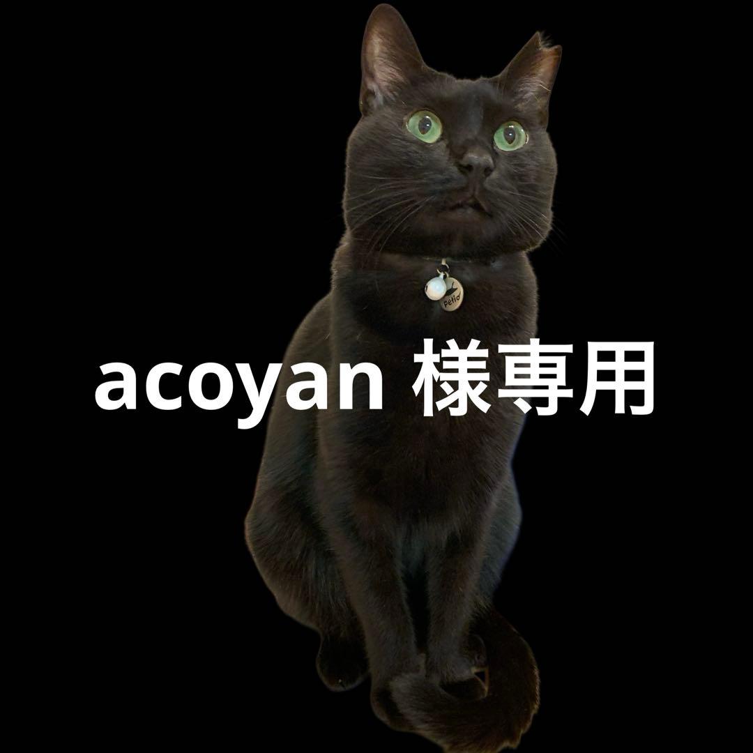 【美品】 iPad 第10世代（2022年モデル） 64GB Wi-Fiモデル