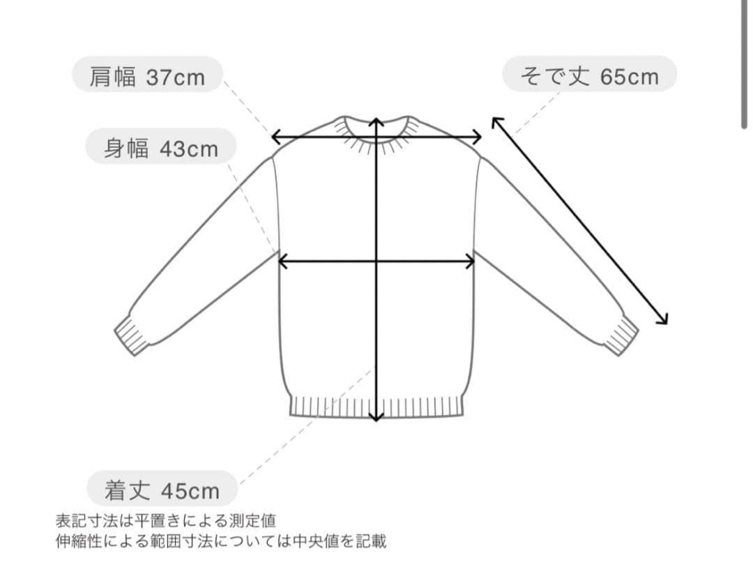 半額！せいらちゃん着用　シアーニット