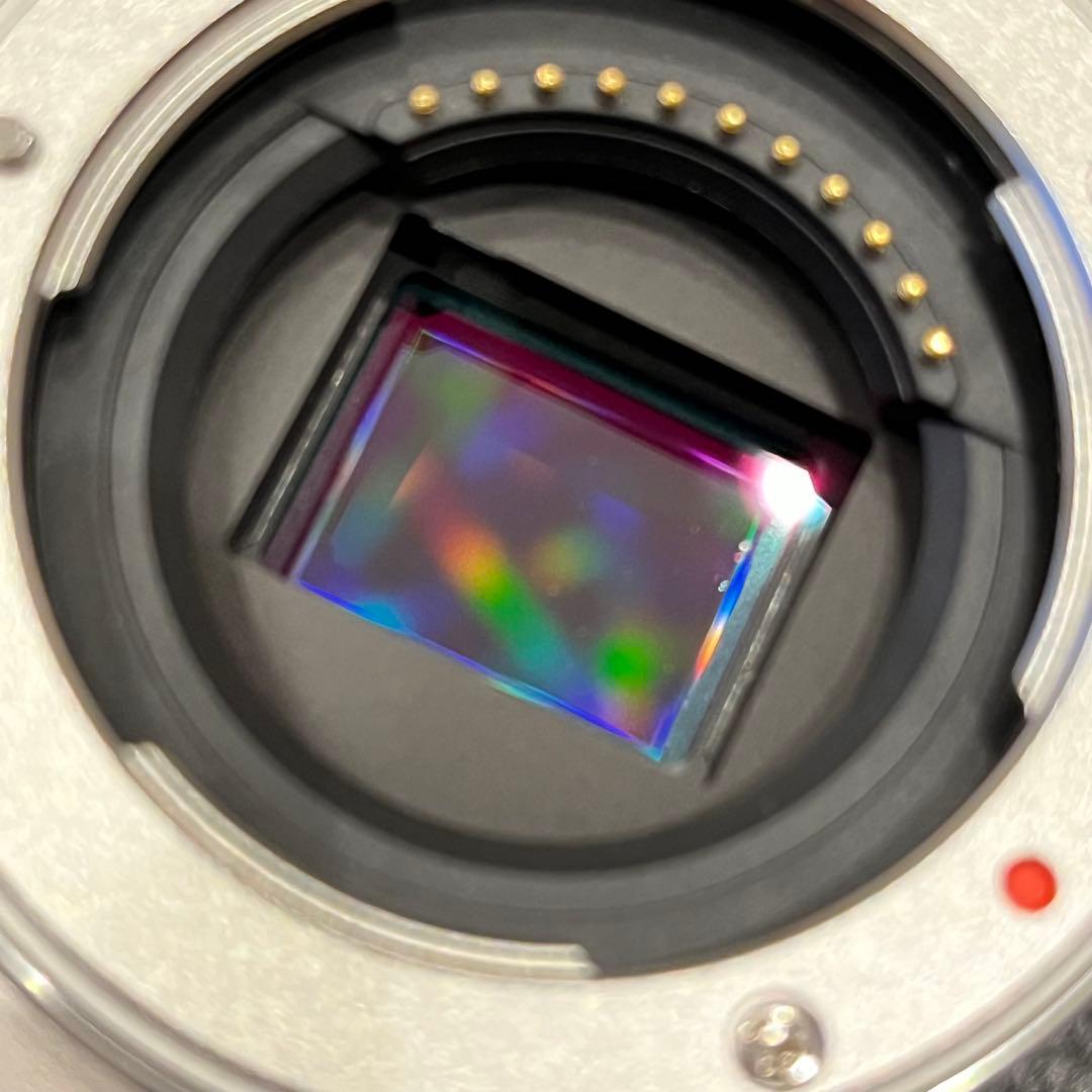 OLYMPUS ミラーレス一眼カメラ PEN E-PL9 ダブルズームキット