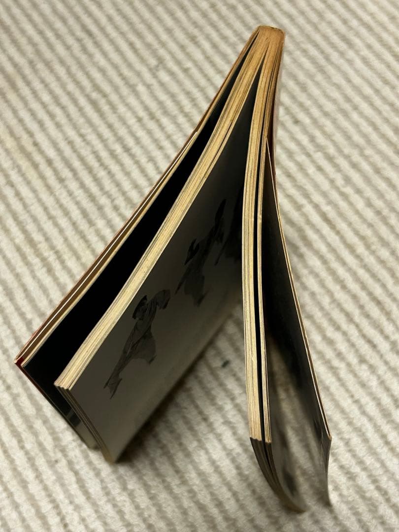 Vital Karate バイタルカラテ　極真会館　総裁大山倍達　著