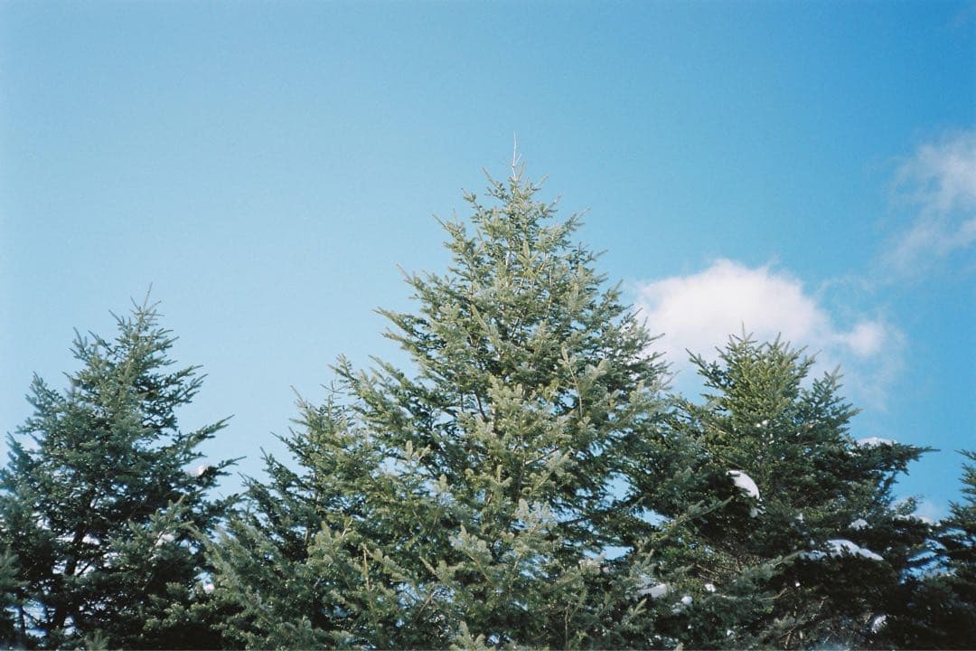 【撮影済み】MINOLTA X-500 フィルム一眼レフ　レンズセット