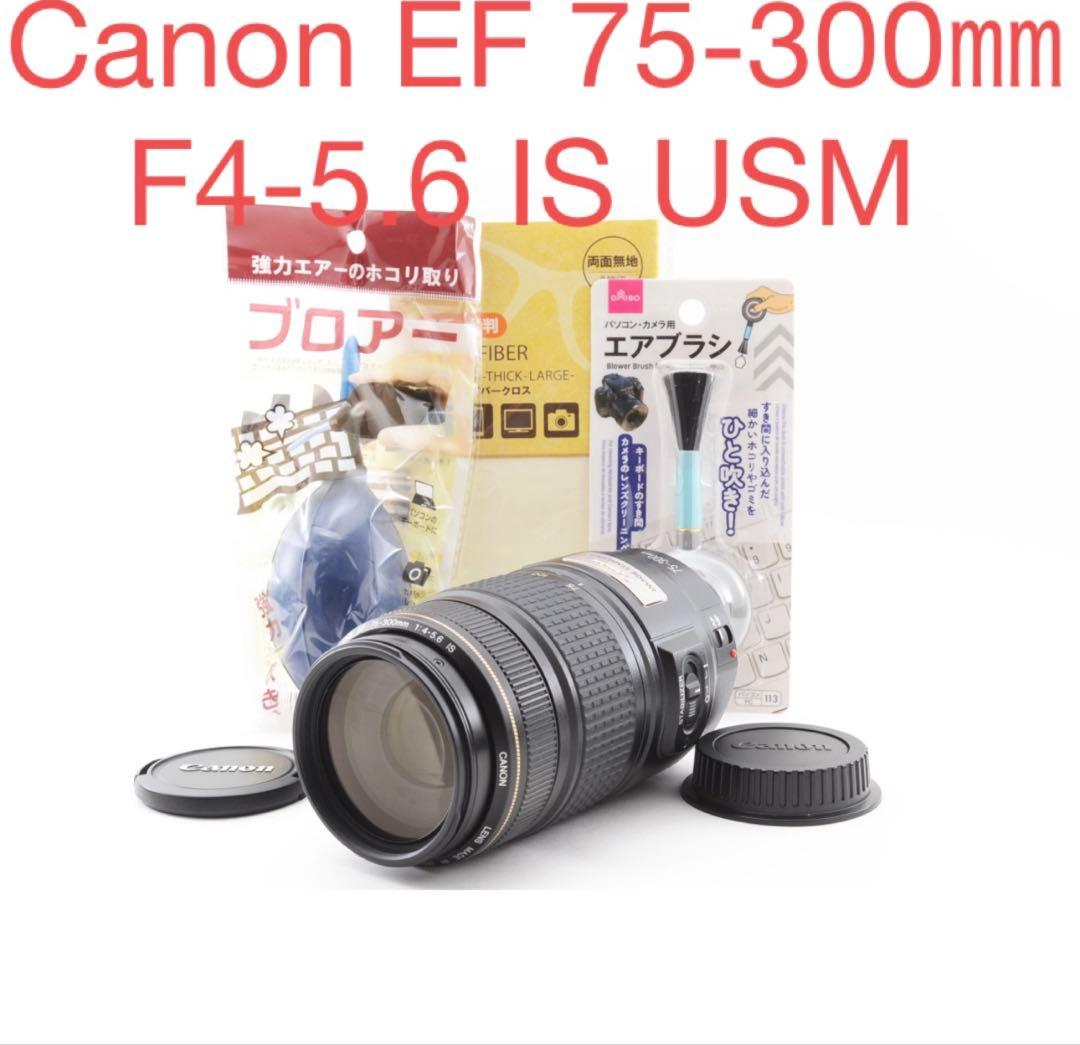 デジタル一眼レフカメラCanon EF 75-300㎜F4-5.6 IS USM