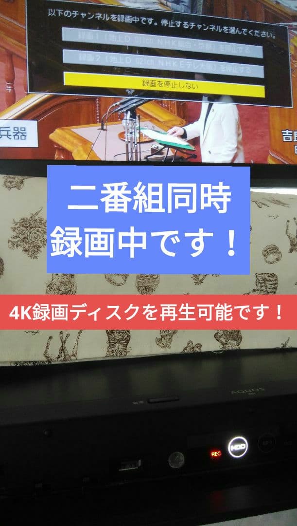 2B-C10DW1/実動で二番組同録可/21年製1TB/新リモ/4k再生/ドラ丸