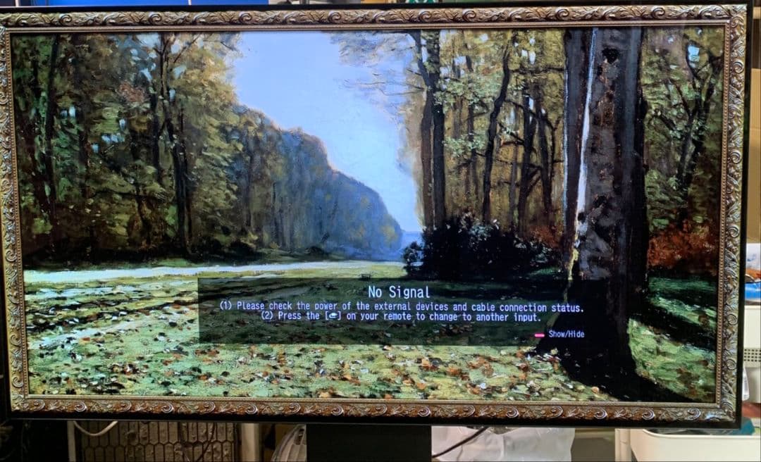 K027 LG 有機ELテレビ 55インチ 2020年製 OLED55CXPJA