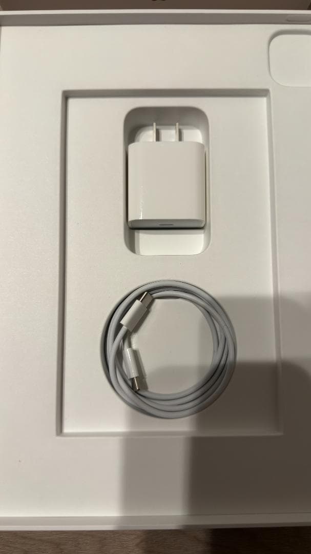 iPad Pro 11 第3世代256GB Cellular+Wifi