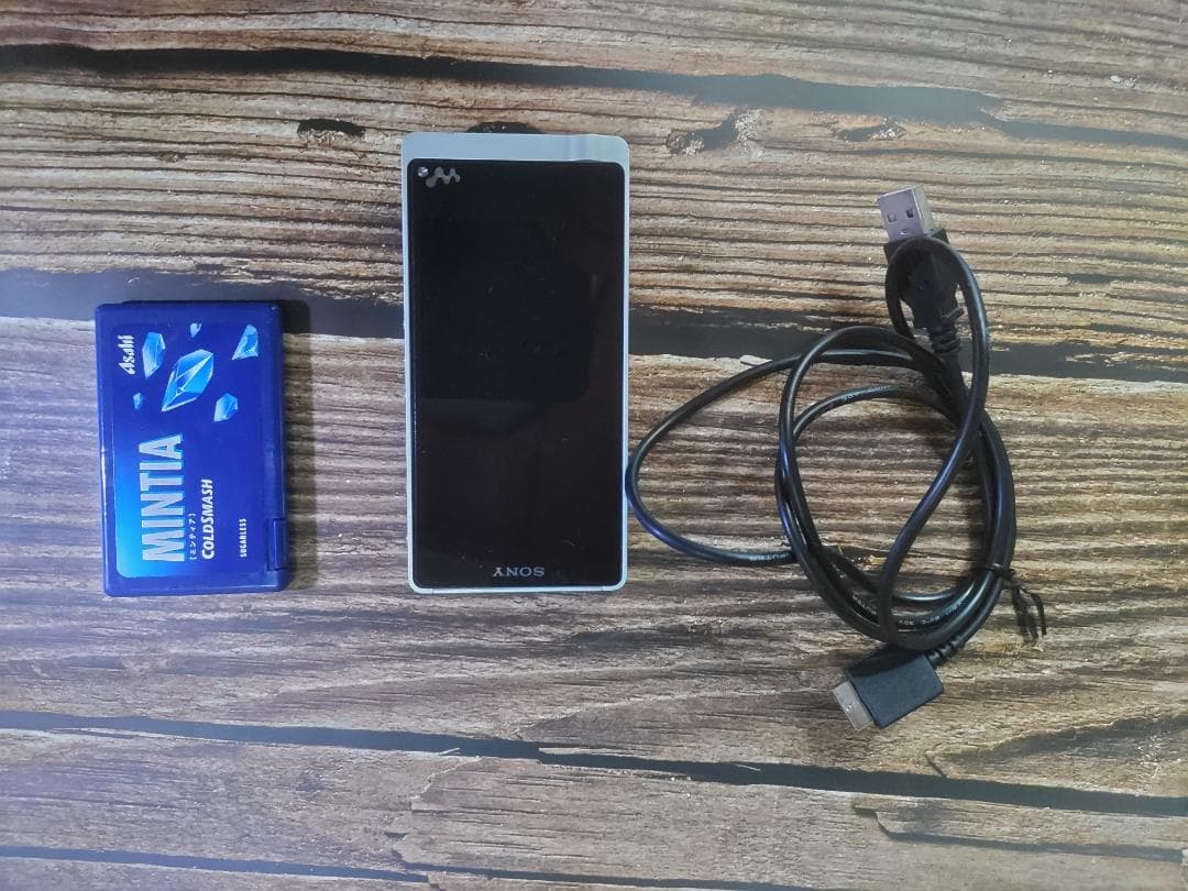 SONY WALKMAN NW-ZX1 ジャンク品