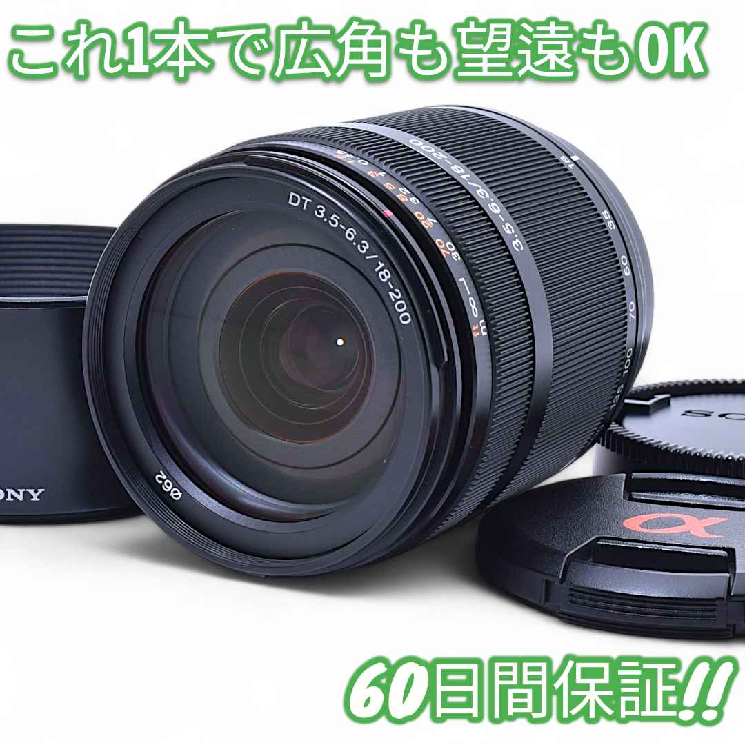 美品 Sony DT 18-200mm F3.5-6.3 9432