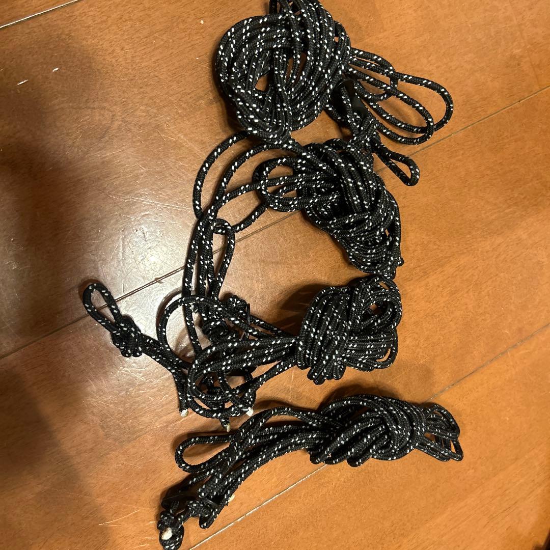 サバティカル スカイパイロット シンセティック　フラッシングキット付き