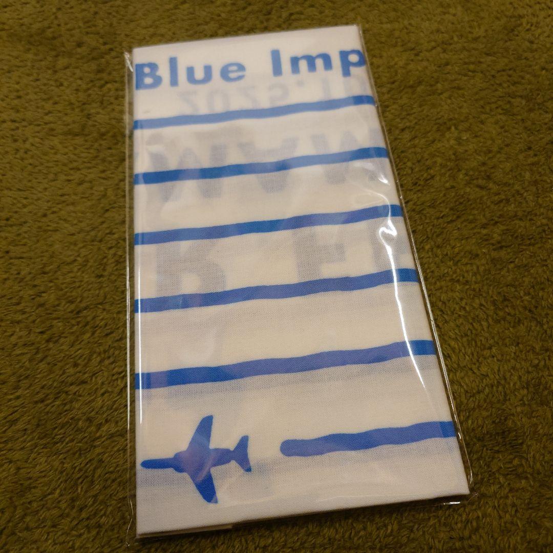 【レア】2024・2025 ブルーインパルスグッズセット（浜松エアフェスタ）