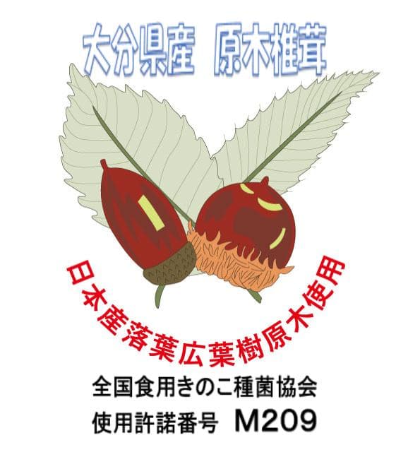 Larusさまご予約専用 大分県特産 生どんこ椎茸「秋子」ダブル2nd