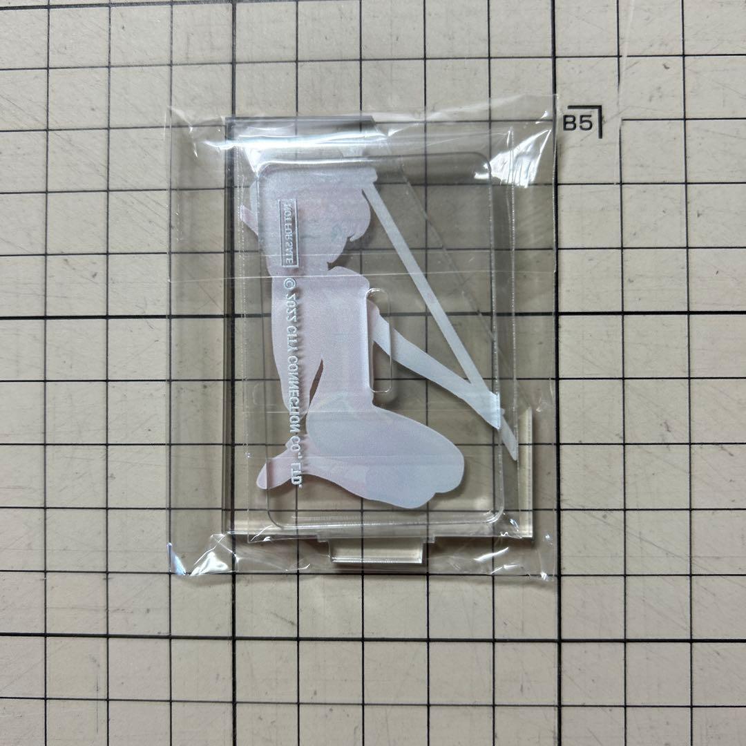 スーチーパイグッズ22点