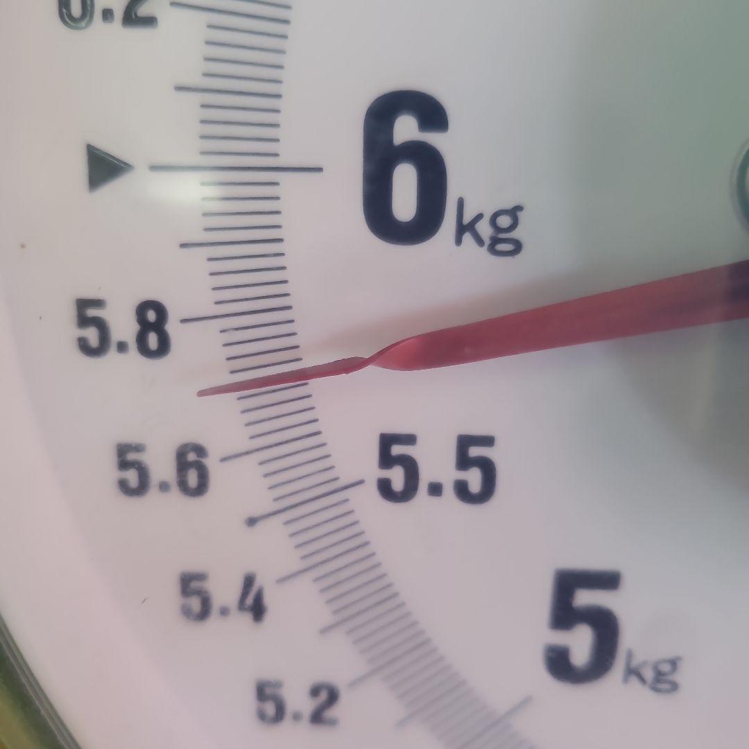 7️⃣7️⃣ 山梨県産 シャインマスカット 箱込み5.7キロ